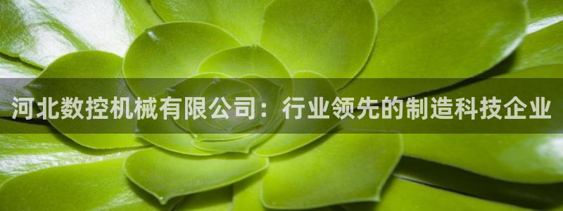 天辰娱乐平台安全吗