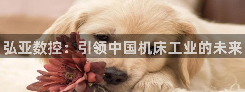 天辰娱乐指定