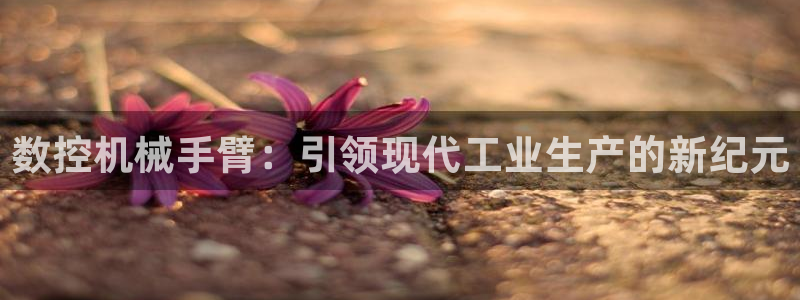 天辰娱乐输了