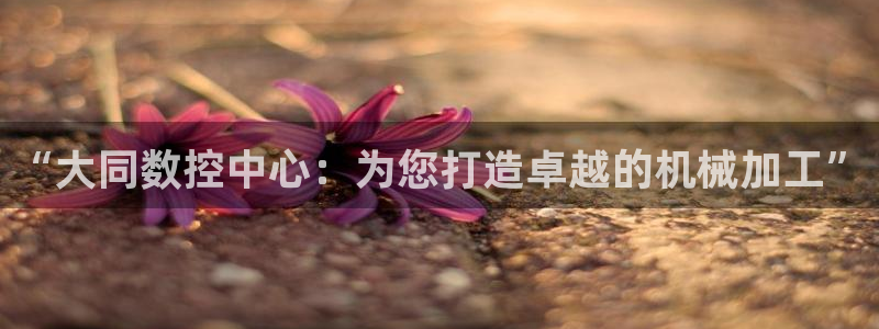 天辰娱乐招商