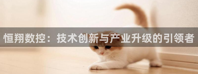 天辰娱乐分红