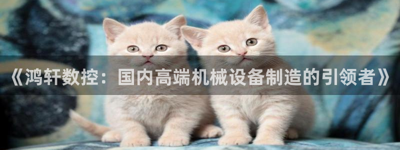 天辰娱乐游客
