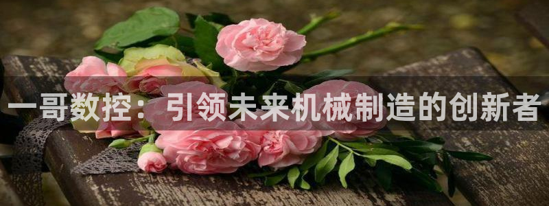 天辰娱乐557696