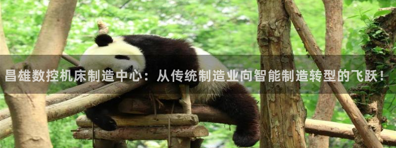 哈尔滨天辰娱乐
