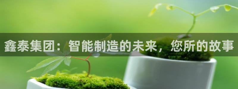 天辰娱乐地址