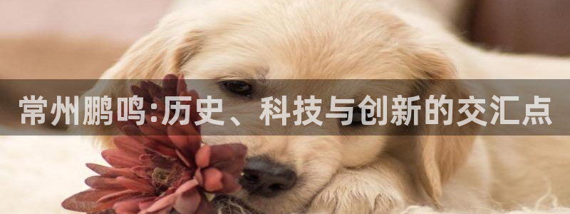 天辰娱乐挂机