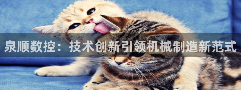 天辰娱乐下载