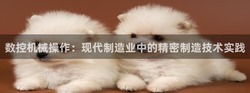 天辰娱乐557448