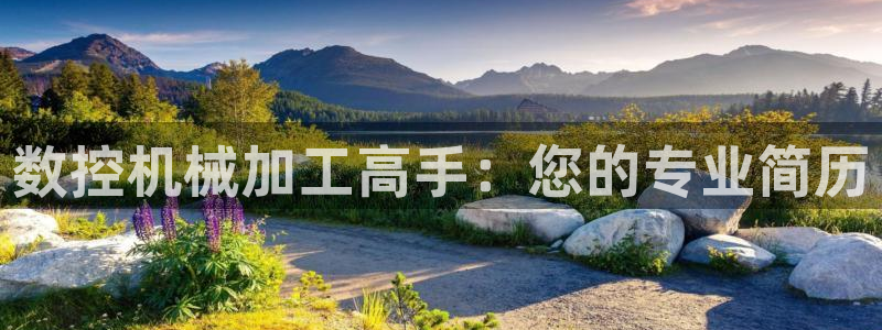 天辰娱乐海洋