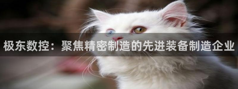 nba天辰娱乐