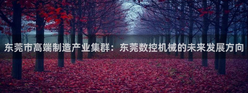 天辰娱乐557448