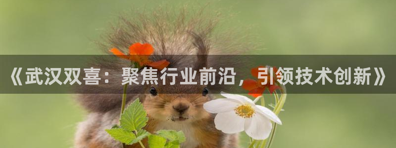 天辰 娱乐 注册
