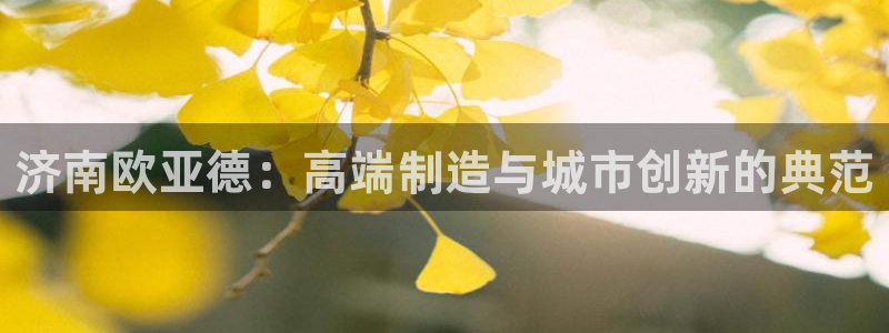 天辰娱乐上级