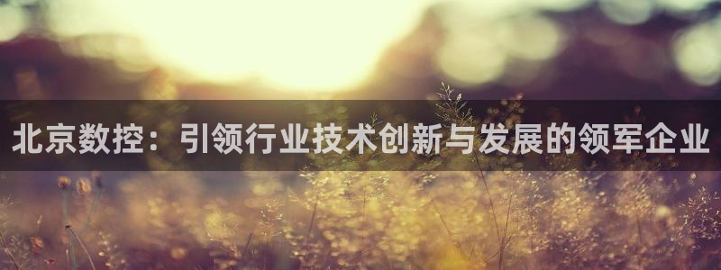 天辰娱乐鱼刺
