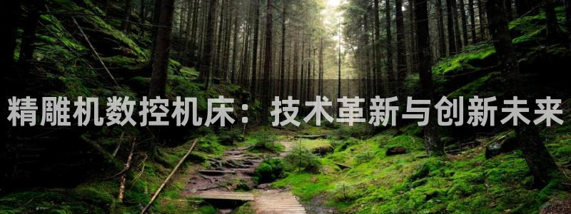 天辰娱乐平台地址