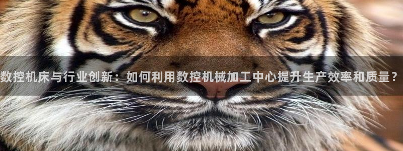 天辰娱乐开户
