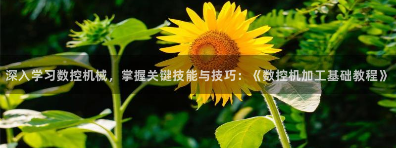天辰娱乐股票