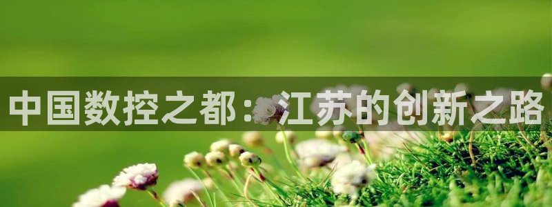 辰天娱乐用品
