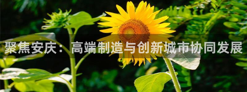 天辰彩票娱乐