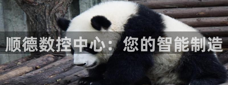 天辰娱乐厕所