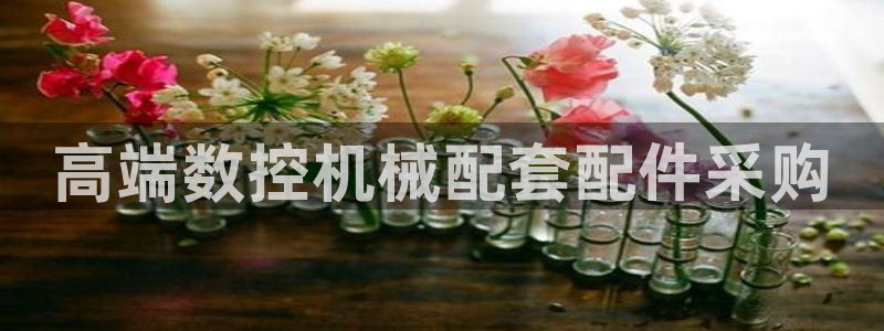 天辰娱乐电话：高端数控机械配套配件采购