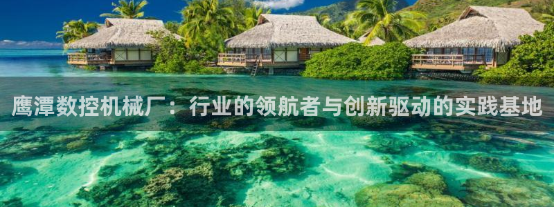 天辰娱乐入口