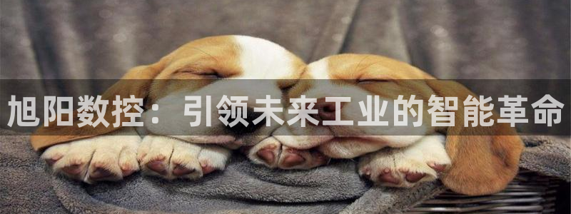 菲律宾天辰娱乐