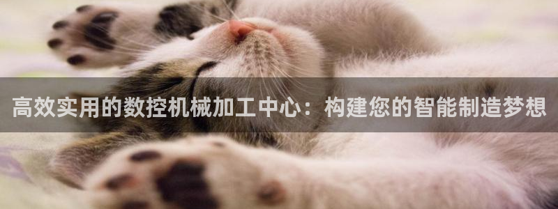 天辰娱乐跑的快