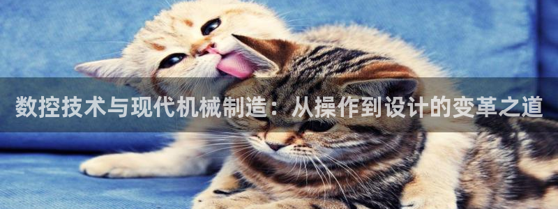 天辰娱乐厕所