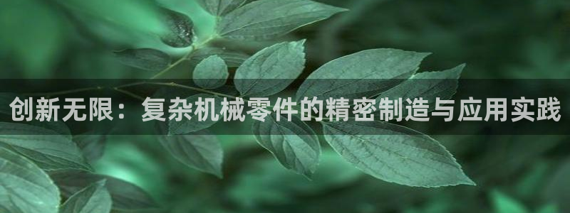 天辰娱乐7天22650：创新无限：复杂机械零件的精密制造与应用实践
