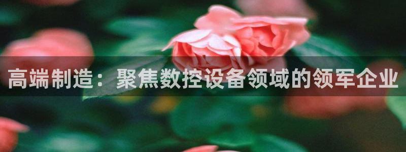 天辰说娱乐