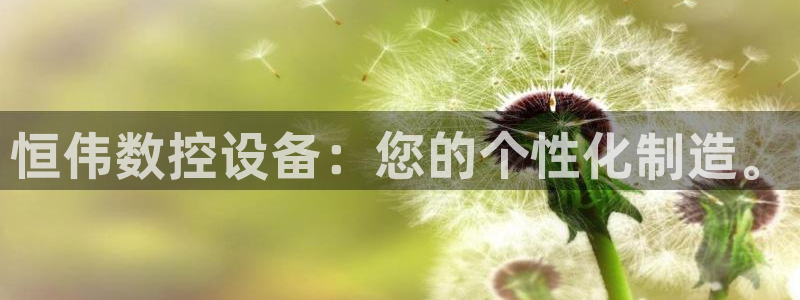 天辰娱乐网：恒伟数控设备：您的个性化制造。