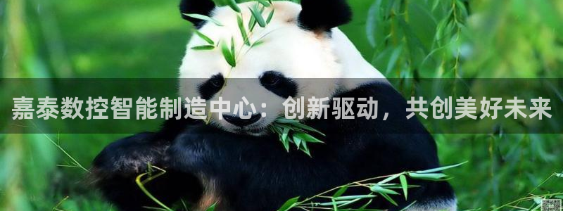 天辰娱乐84566：嘉泰数控智能制造中心：创新驱动，共创美好未来