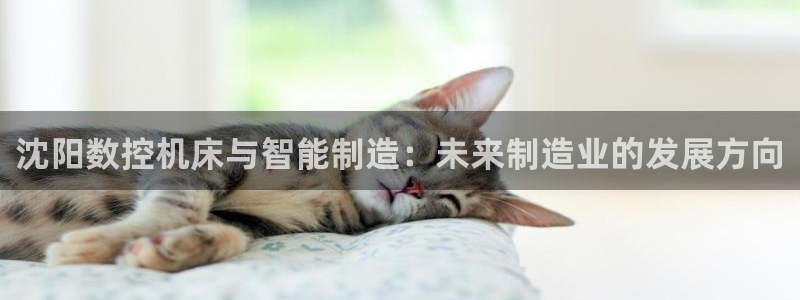 天辰娱乐视频