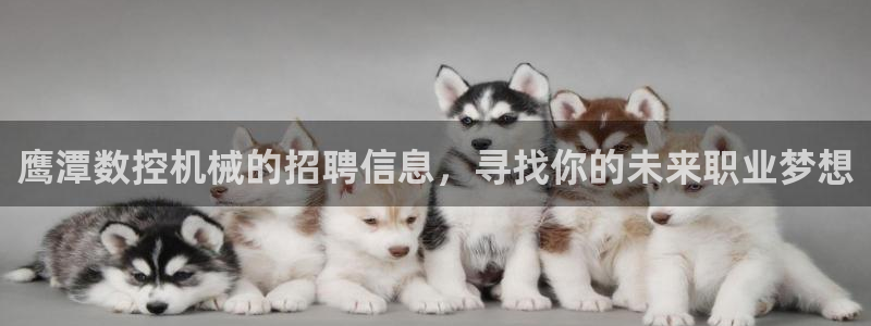 天辰娱乐新