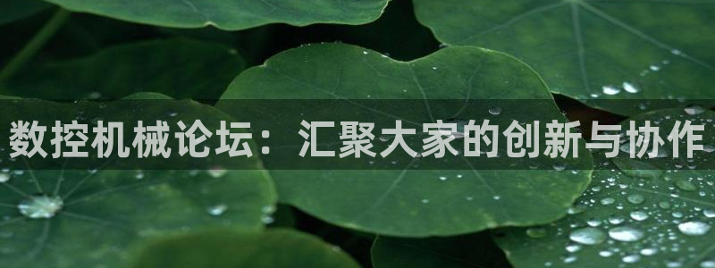 天辰娱乐557448