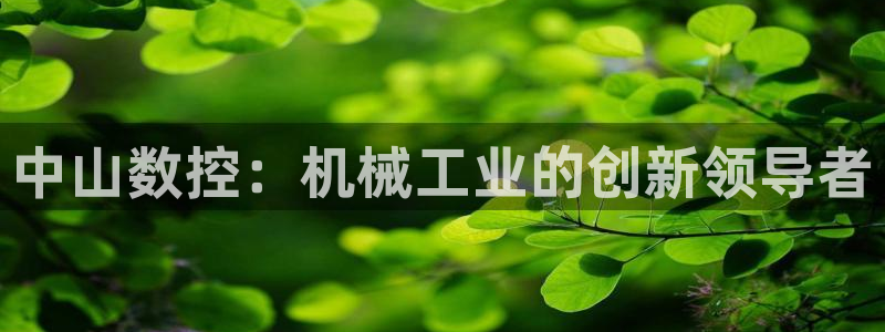 天辰国际娱乐
