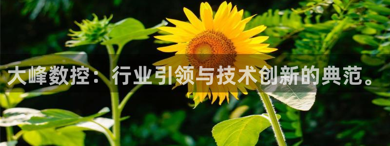 天辰娱乐挂机
