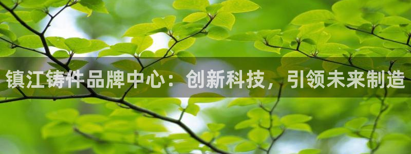 哈尔滨天辰娱乐：镇江铸件品牌中心：创新科技，引领未来制造