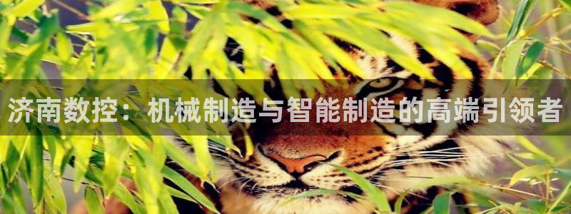 天辰娱乐软件：济南数控：机械制造与智能制造的高端引领者