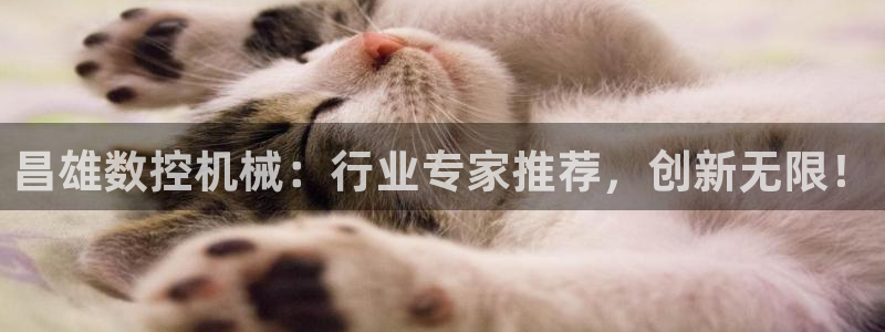 哈尔滨天辰娱乐：昌雄数控机械：行业专家推荐，创新无限！