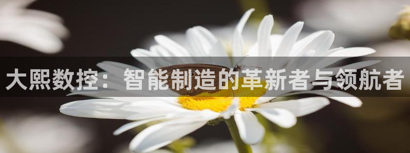 天辰娱乐平台娱乐注册