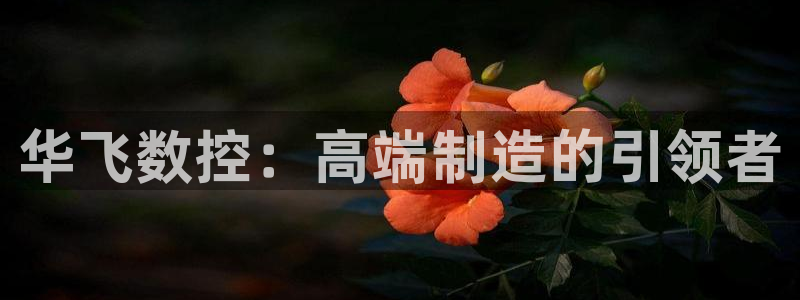 天辰娱乐平台