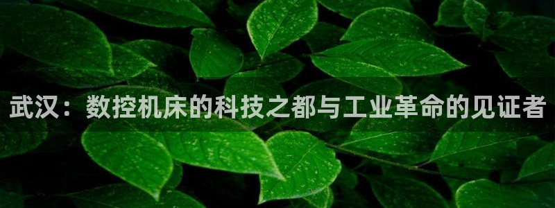 天辰娱乐鱼刺：武汉：数控机床的科技之都与工业革命的见证者