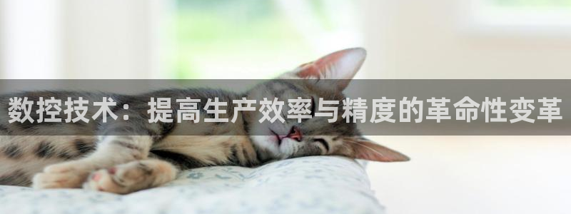 天辰娱乐下载