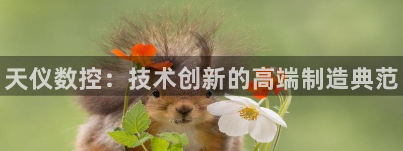 天辰娱乐平台靠谱么