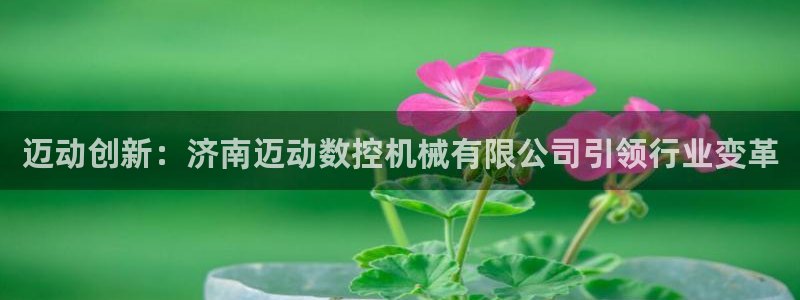 天辰娱乐tff:迈动创新:济南迈动数控机械有限公司引领行业变革