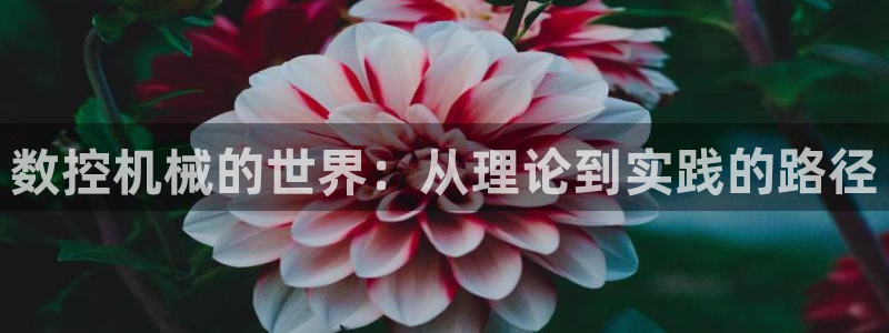 天辰娱乐2：数控机械的世界：从理论到实践的路径