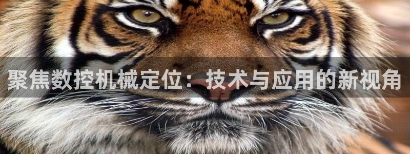 大庆天辰娱乐：聚焦数控机械定位：技术与应用的新视角