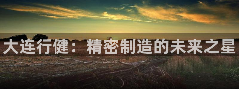 天辰娱乐84566